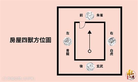 樓梯在虎邊化解|【樓梯在虎邊的風水破解】有鐵欄幹 